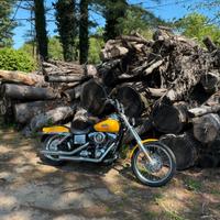 Harley davidson wilde glide 2007