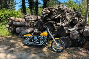 Harley davidson wilde glide 2007