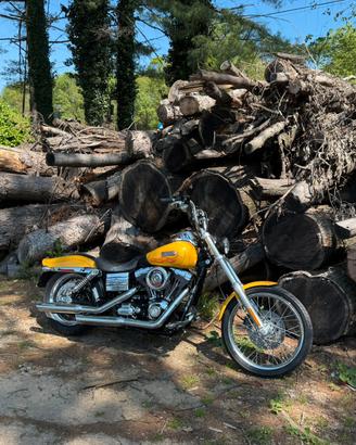 Harley davidson wilde glide 2007