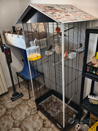 Voliera con canarini