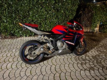CBR 600RR 2005 crs