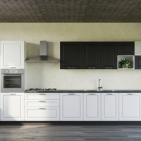 CUCINA  COMPLETA DI TUTTI GLI ELETTRODOMESTICI