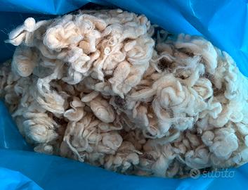 3,5 kg lana pecora in bioccoli.