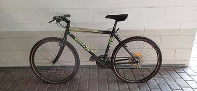 Bicicletta mountain bike wheeler