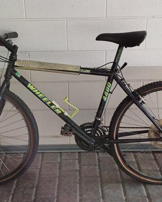 Bicicletta mountain bike wheeler