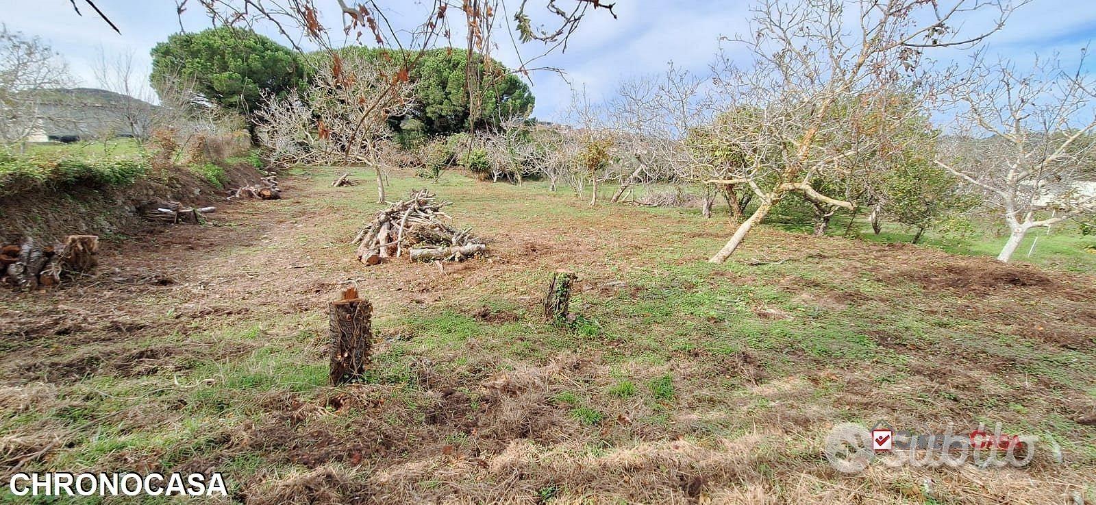 Castanea,terreno agricolo di circa 3300mq, - Vista 5