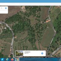 Terreno vigneto coltivato zona mareneve