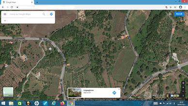 Terreno vigneto coltivato zona mareneve