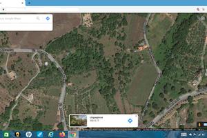 Terreno vigneto coltivato zona mareneve