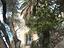 Immagine 26