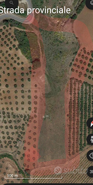 TERRENO AGRICOLO 1.3 ha