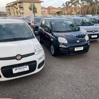 Fiat Panda 2021/2022 vari colori