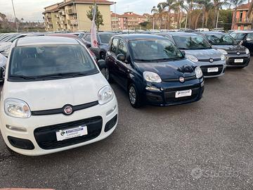 Fiat Panda 2021/2022 vari colori