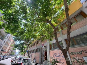 Villabianca-via Mag Toselli:bilocale 70 mq ristrut