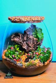 terrarium XL