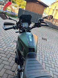Benelli leoncino 800 trail