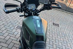 Benelli leoncino 800 trail