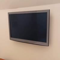 Televisore Panasonic  44 pollici