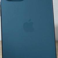 Iphone 12 pro max 256 gb