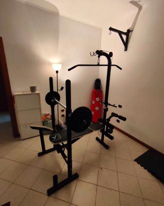 Palestra Domyos BM 490