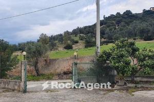 PROPRIETA' CON 2 APPARTAMENTI E GIARDINO DI 6000 M