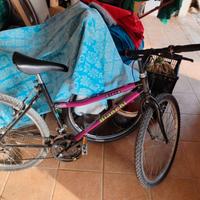Bicicletta Nyala Bianchi