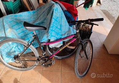 Bicicletta Nyala Bianchi