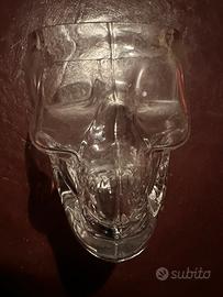 Vaso da fiori in vetro a forma di teschio
