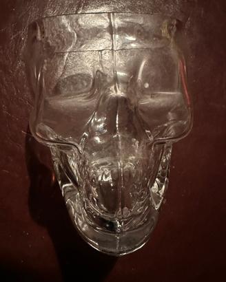 Vaso da fiori in vetro a forma di teschio