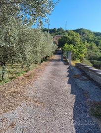 Oliveto San Vito Romano