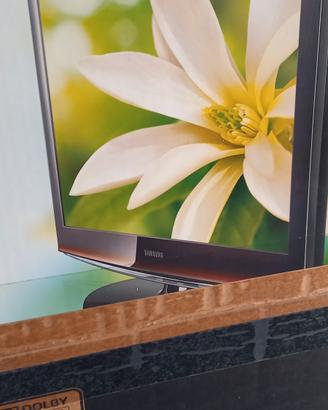 Samsung LCD TV