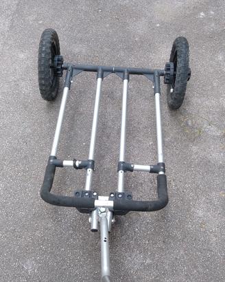 Carrello per bici