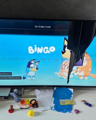 tv Sony Bravia  per ricambi