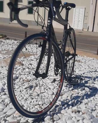 Bici SAB "OLIMPO"  k3 Carbon