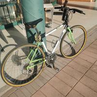 Mtb Legnano Macchia kk