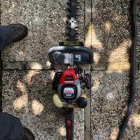 tagliasiepi professionale Robin HT491WV