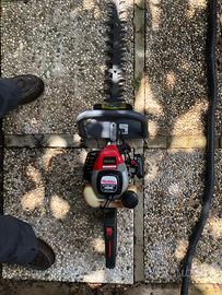 tagliasiepi professionale Robin HT491WV