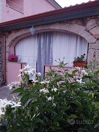 Casa comoda al mare e servizi, con giardino