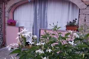 Casa comoda al mare e servizi, con giardino