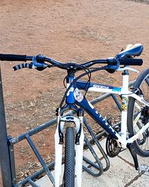 Whellie bike