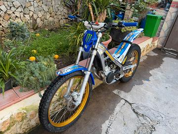 Trial sherco 290 2005