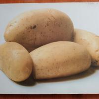 Armando Testa - "Industrial Design" autografato