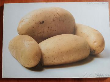 Armando Testa - "Industrial Design" autografato