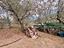 Immagine 12