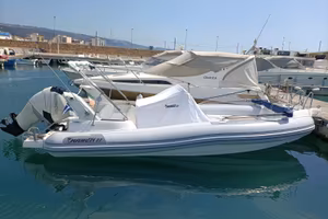 Marlin boat top 23 FB