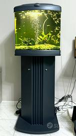 Acquario 75L con mobile di supporto