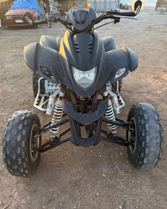 Quad dinli 450