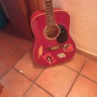 Eko acustica 