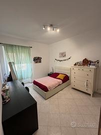 Stanza in zona Tuscolana