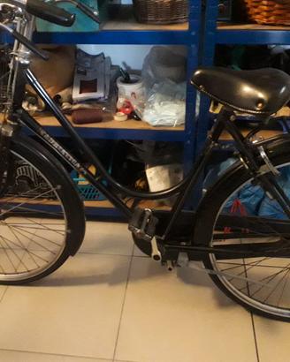 bicicletta da donna "storica"